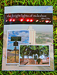 The Bright Lights of Muleshoe book cover